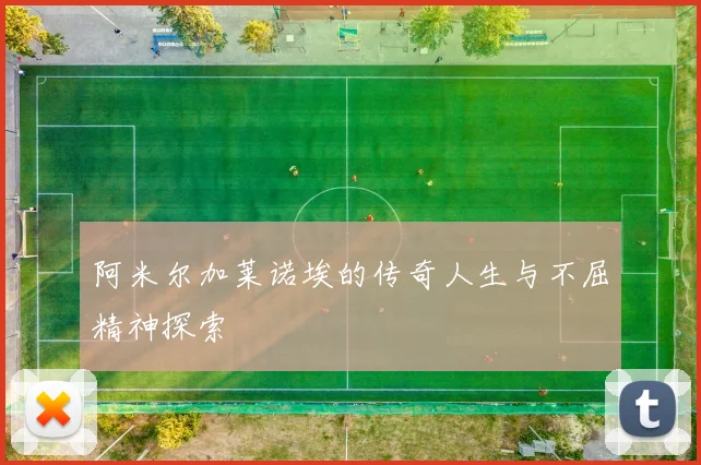 阿米尔加莱诺埃的传奇人生与不屈精神探索