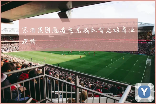 苏酒集团冠名电竞战队背后的商业逻辑