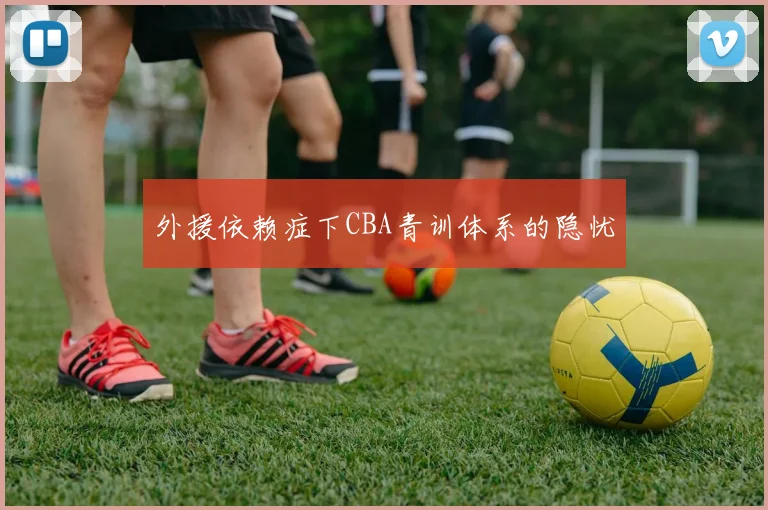 外援依赖症下CBA青训体系的隐忧